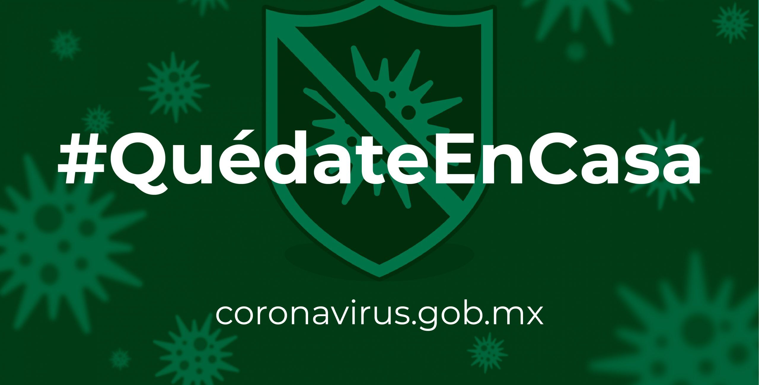 Inicio - Coronavirus 1 Pick and Pack Travel llc Inicio - Coronavirus Pick and Pack Travel llc